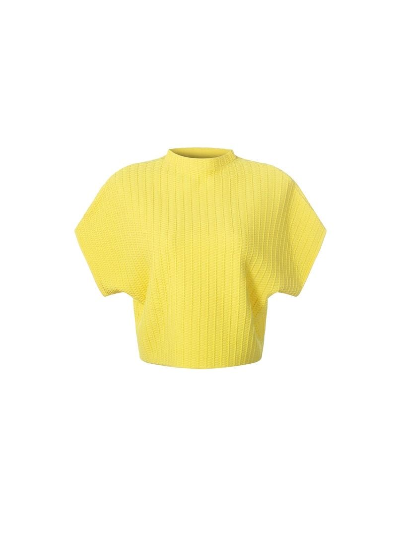 Knit Crop Top
