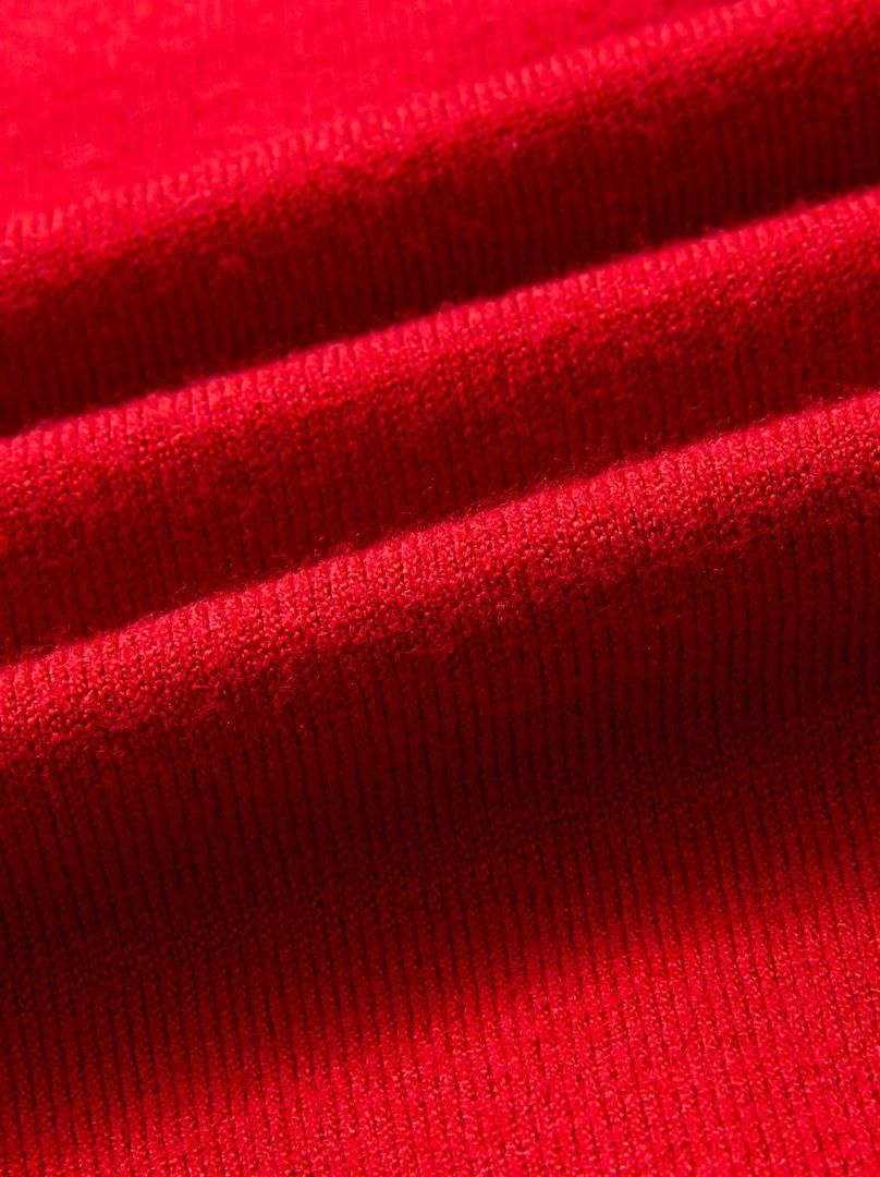 Red Turtleneck Knit Top