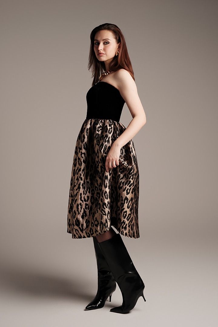 Velvet & Brocade Dress