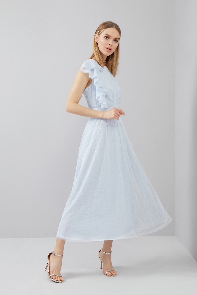 Polka Dot Mesh Dress